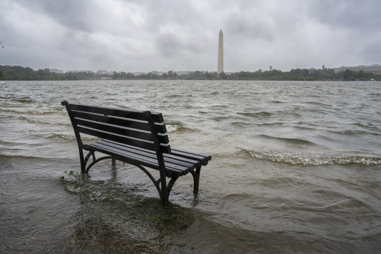 The Tidal Basin in Washington overflows the banks with the rain from Tropical Storm Ophelia, Saturday, Sept. 23, 2023. The National Weather Service has issued a coastal flooding warning for the area.