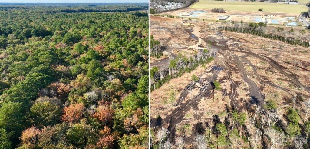Forests This before and after photo shows the clear-cutting of a once-forested area near Rehoboth Beach