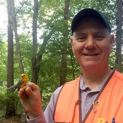 Former state forestry administrator Mike Valenti pointed out that Kent and New Castle counties have protections that have led to a slight increase in woodlands in the last quarter-century.
