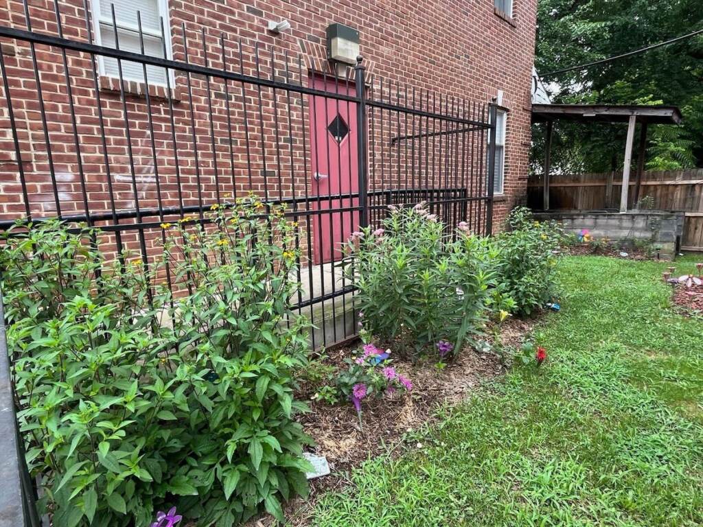 garden-wilmington-after Plants and flowers are shown near a building in a garden