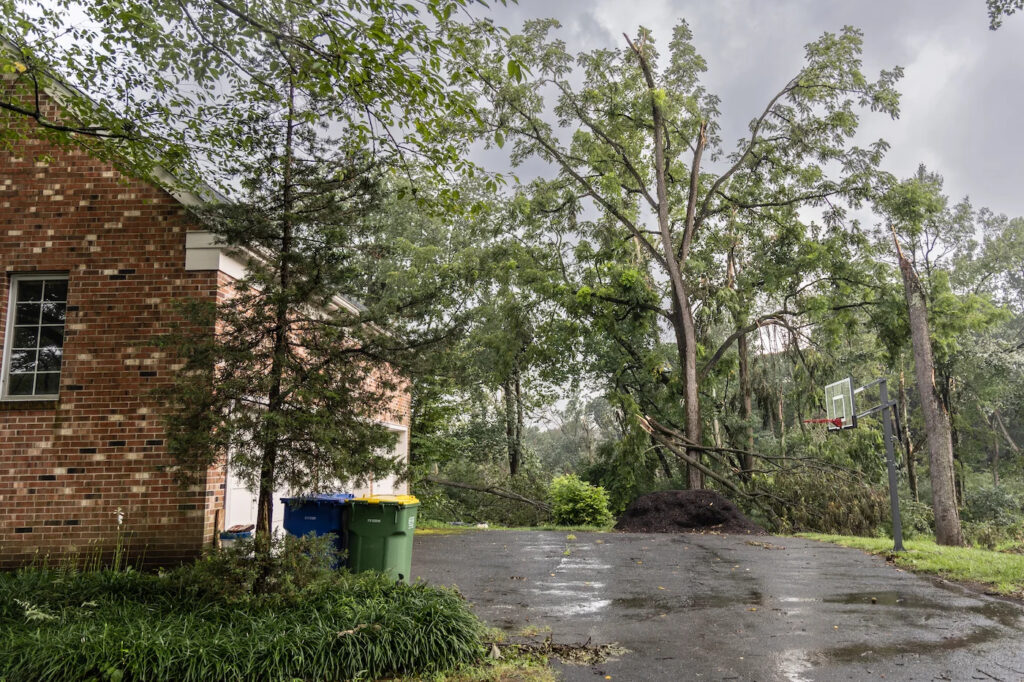 A heavy storm with strong winds on Aug. 7, 2023 damaged trees on the Tucker family’s property in Chadds Ford, Pa.