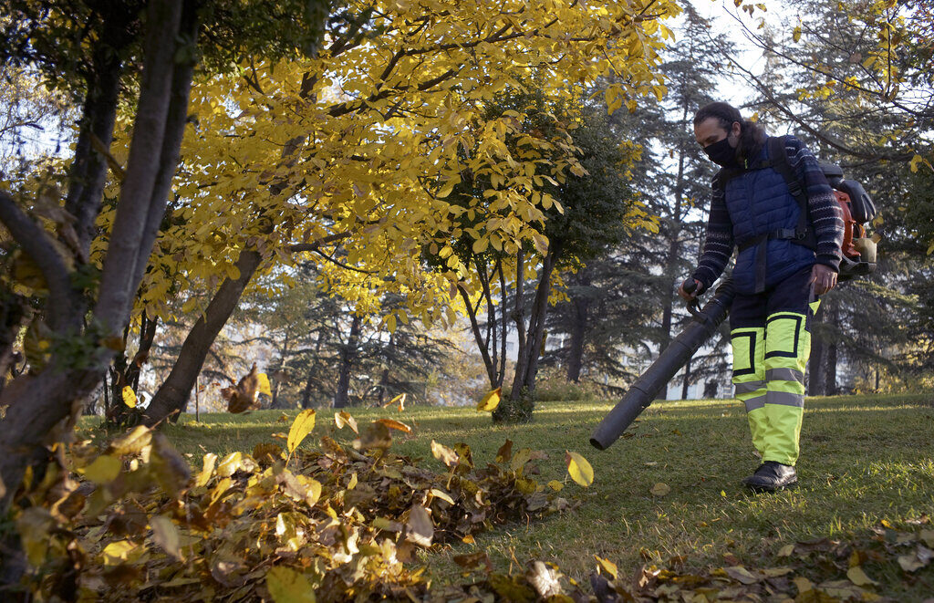 Gas-powered leaf blowers are often used in landscaping Gas-powered leaf blowers are often used in landscaping