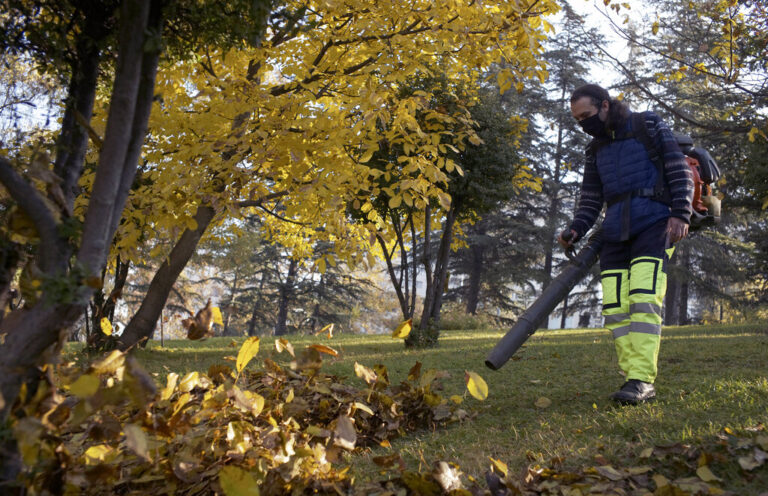 Gas-powered leaf blowers are often used in landscaping