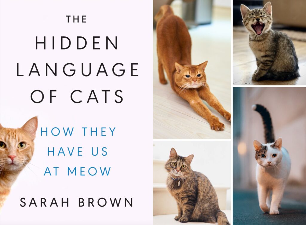 hiddenlanguageofcats Sarah Brown, PhD is the author of The Hidden Language of Cats.