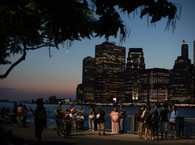People are seen under a tree in Brooklyn Bridge Park