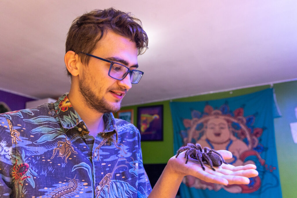 08 30 2023 k paynter bug guy nick clark-4 Nick Clark holds Aragog, the beloved Chilean rose hair tarantula