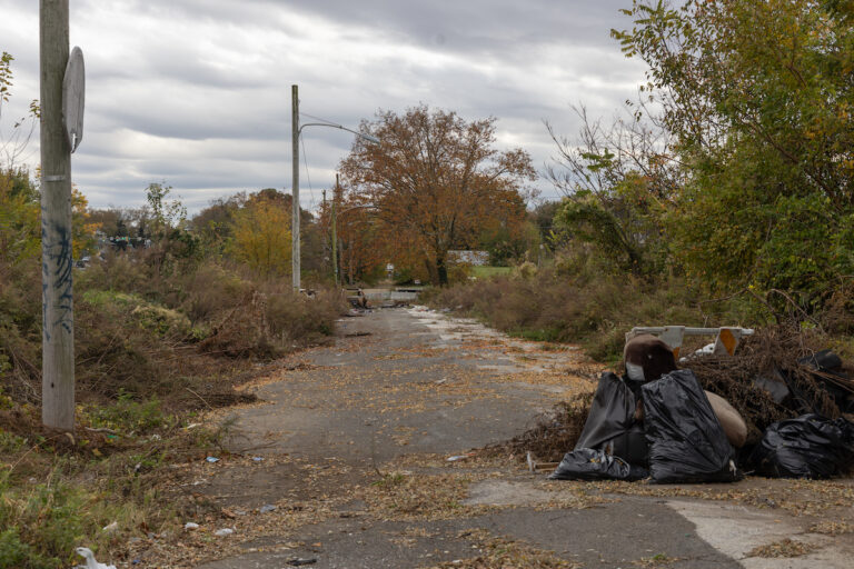The 35-acre North Philadelphia lot known as the Logan Triangle, between the Roosevelt Boulevard and Louden Street, from 6th to 11th Streets. (Kimberly Paynter/WHYY)
