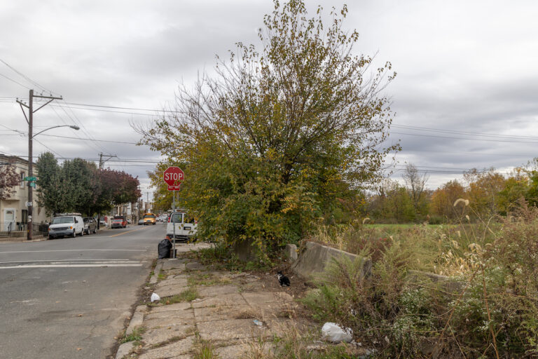 North Philadelphia’s Logan Triangle once held about 1,000 homes that were demolished in the 1980s. (Kimberly Paynter/WHYY)