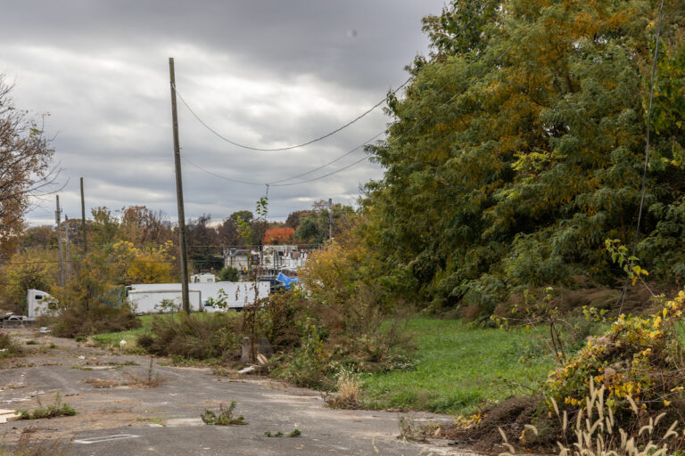North Philadelphia’s Logan Triangle once held about 1,000 homes that were demolished in the 1980s. (Kimberly Paynter/WHYY)