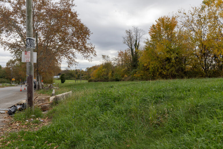 The 35-acre North Philadelphia lot known as the Logan Triangle, between the Roosevelt Boulevard and Louden Street, from 6th to 11th Streets. (Kimberly Paynter/WHYY)
