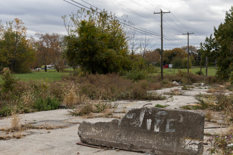 North Philadelphia’s Logan Triangle once held about 1,000 homes that were demolished in the 1980s. (Kimberly Paynter/WHYY)