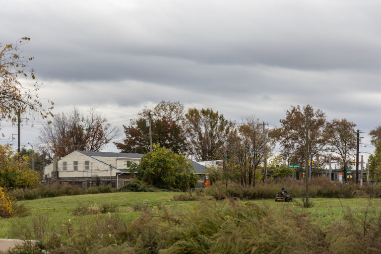 North Philadelphia’s Logan Triangle once held about 1,000 homes that were demolished in the 1980s. (Kimberly Paynter/WHYY)