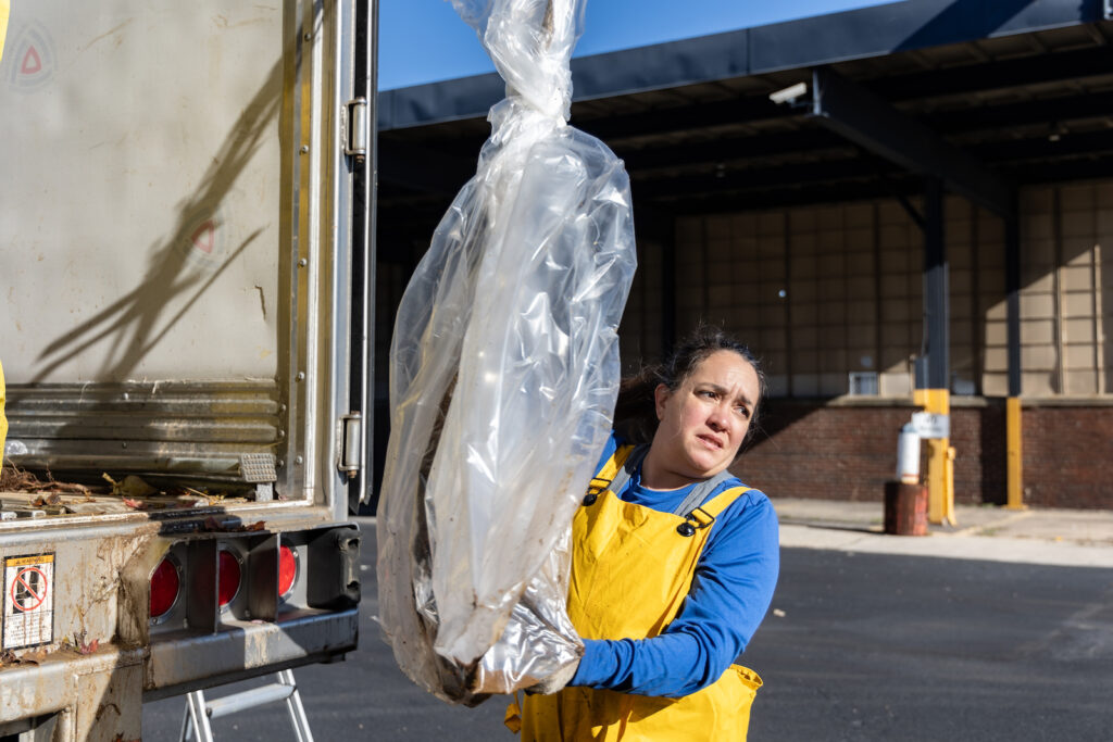 Cristina Tessaro, PHS associate director of activation, receives trees from a truck slated for fall planting in the Philadelphia region