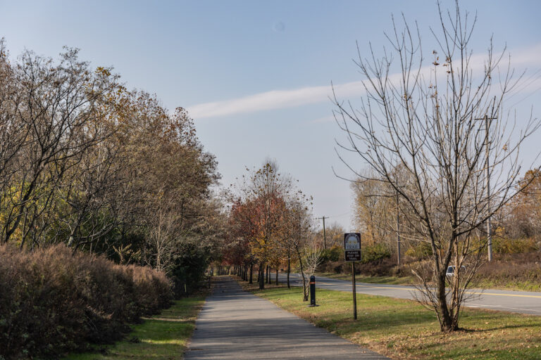 College Drive in Pottstown, Pa. (Kimberly Paynter/WHYY)
