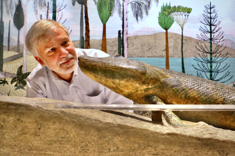 Ted Daeschler looking at Tiktaalik