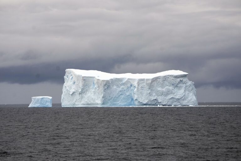 icebergs
