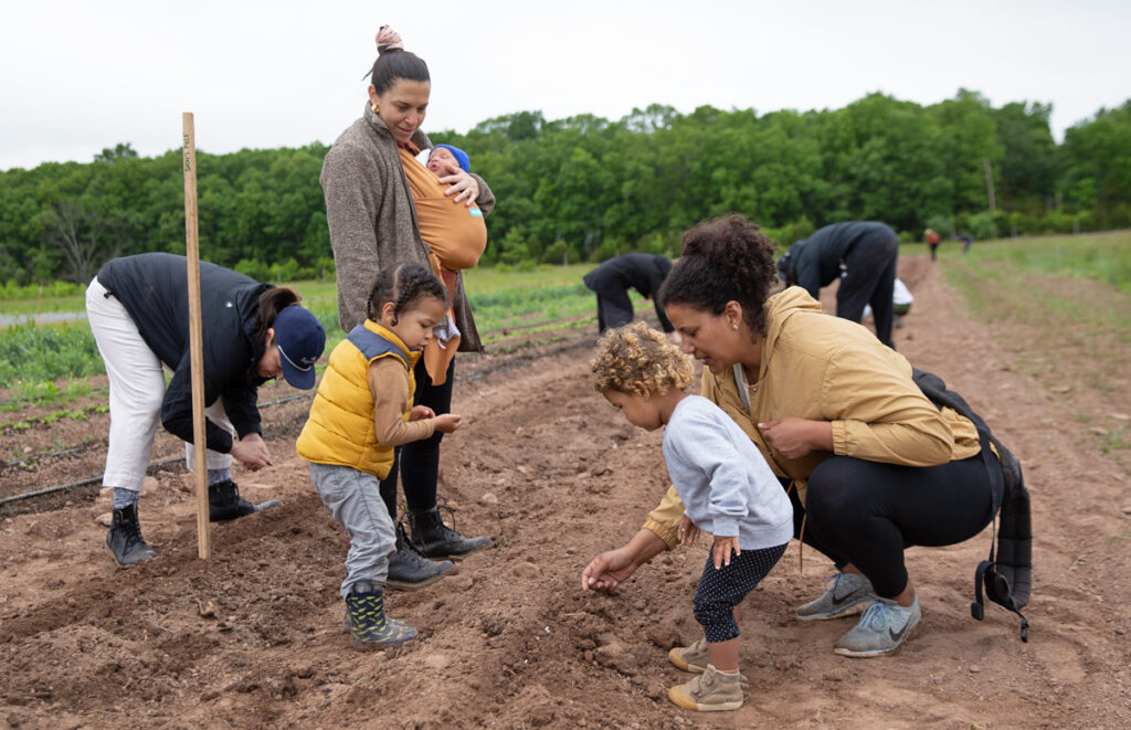 limabean01a From left to right: Chef April McGregor, Megan Thompson with children Pasquale and Toussaint, Selah and Faith Moynihan, plant lima beans at Plowshare Farms in Pipersville, Pennsylvania. (Lindsay Lazarski/WHYY)