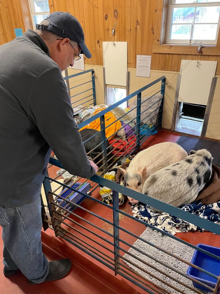 Jim Plunkett looks down on his two pet pigs, Nolan and Lil Girl, who are cuddled together for a nap.