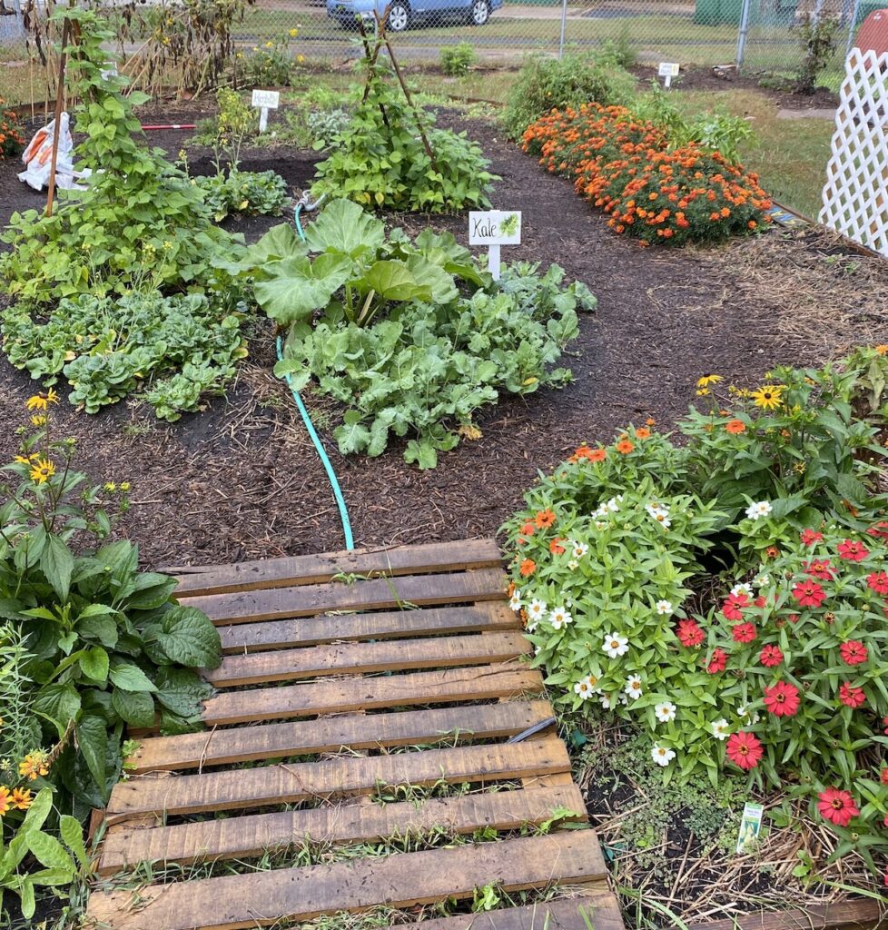 A garden is visible