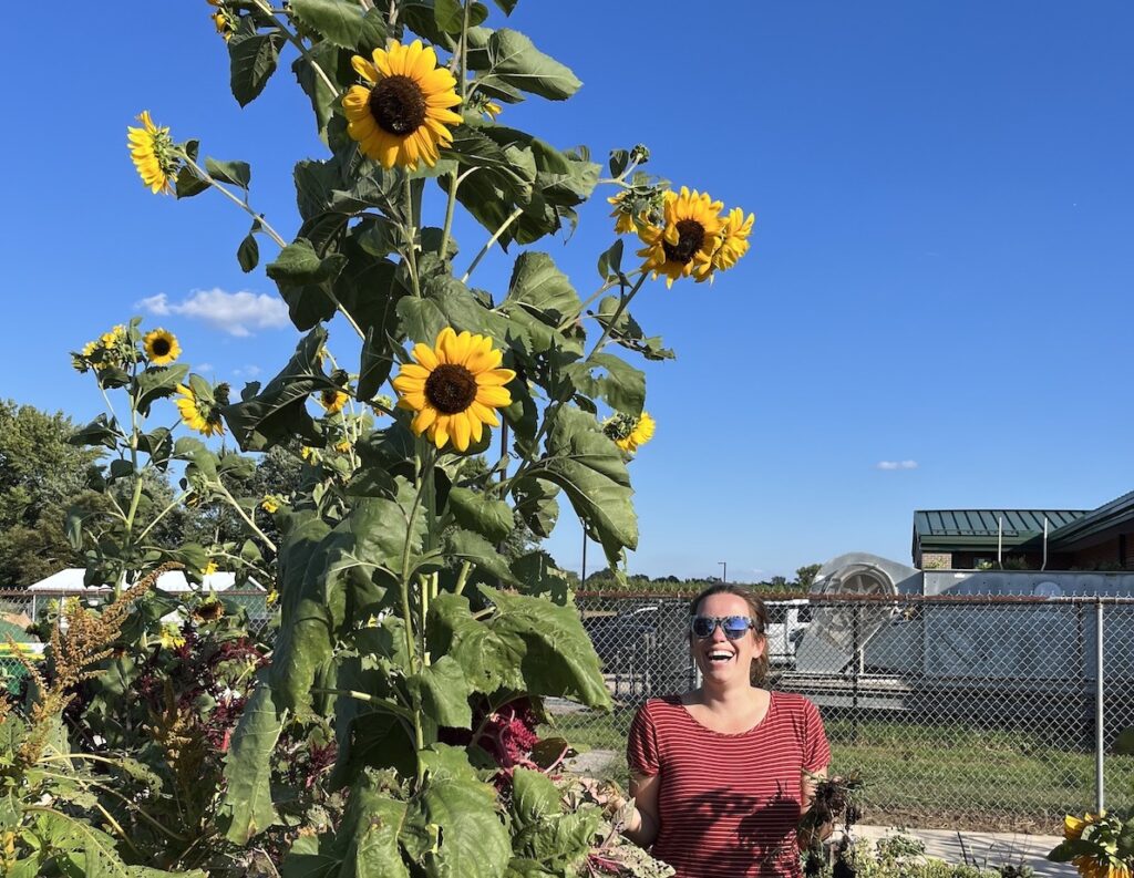 snac-garden-5 SNAC educator Maxine Middlebrook stands next to a very tall sunflower plant.