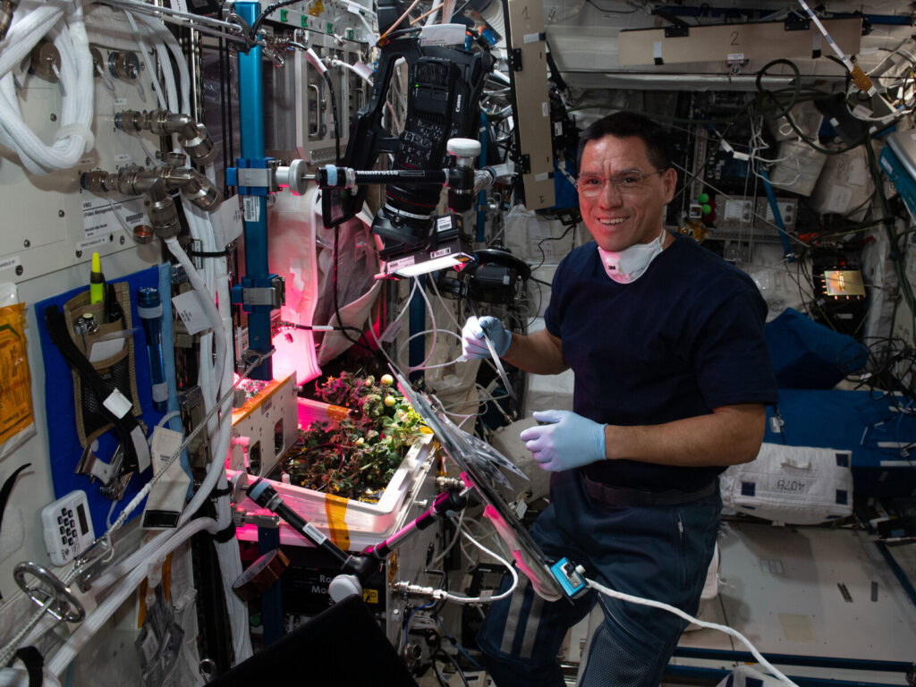 GMT287_22_48_Koichi Wakata_1068_GMT287 Frank and Koichi NASA astronaut Frank Rubio checks tomato plants growing inside the International Space Station for a space botany study. Koichi Wakata/Japan Aerospace Exploration Agency/NASA