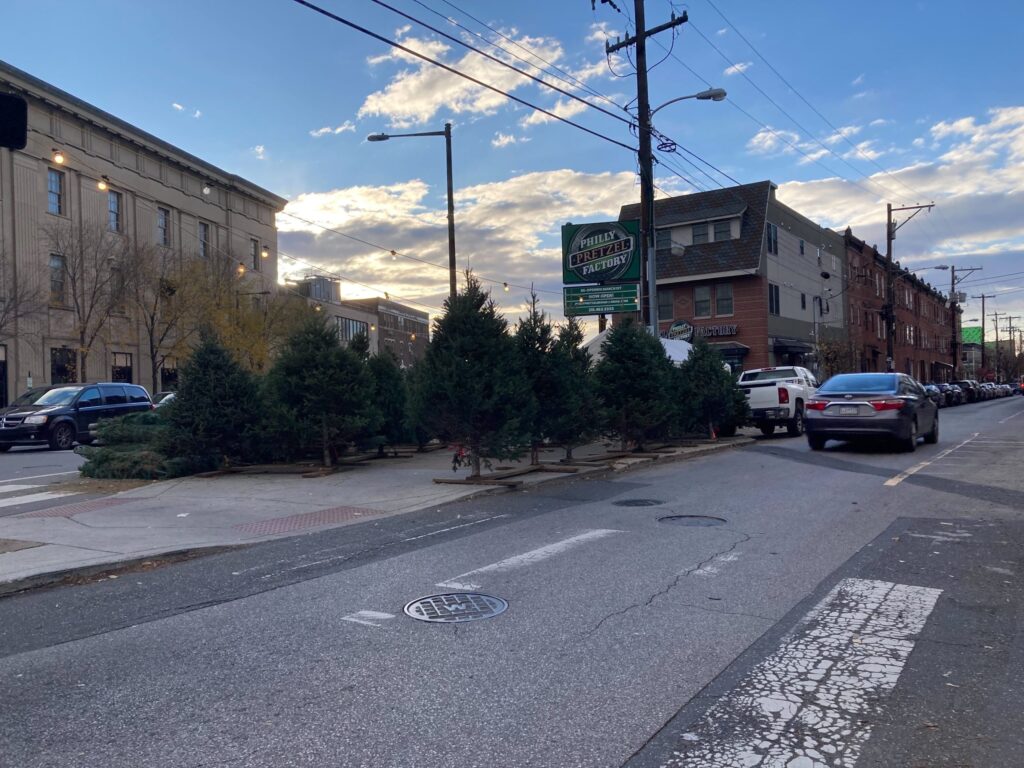 Tree-World-1-scaled Tree World outside of the Philly Pretzel Factory at Broad and Passyunk.