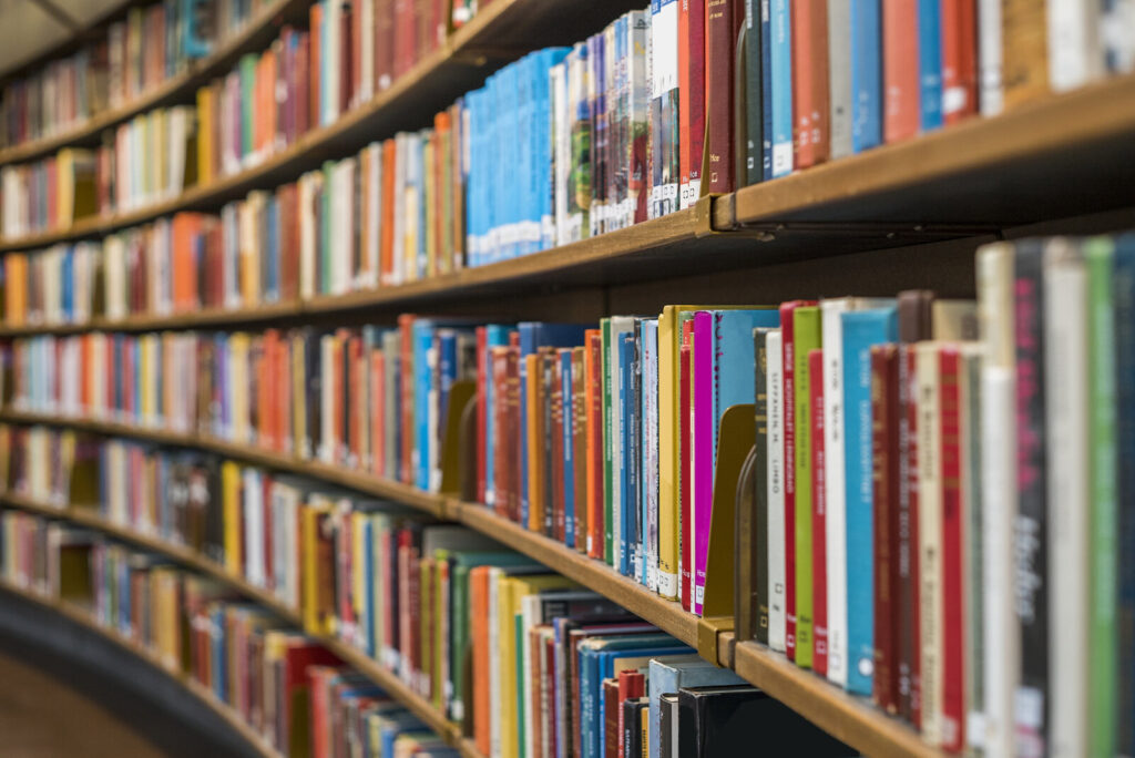 books-2023-public-libraries A row of books on bookshelves