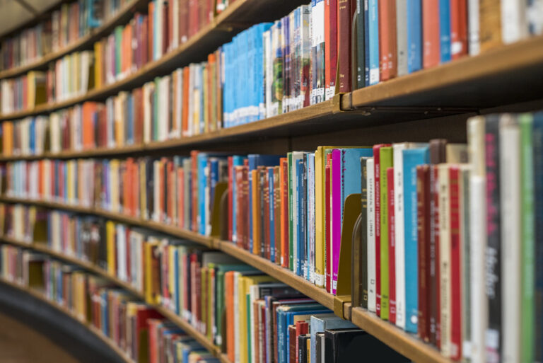 A row of books on bookshelves