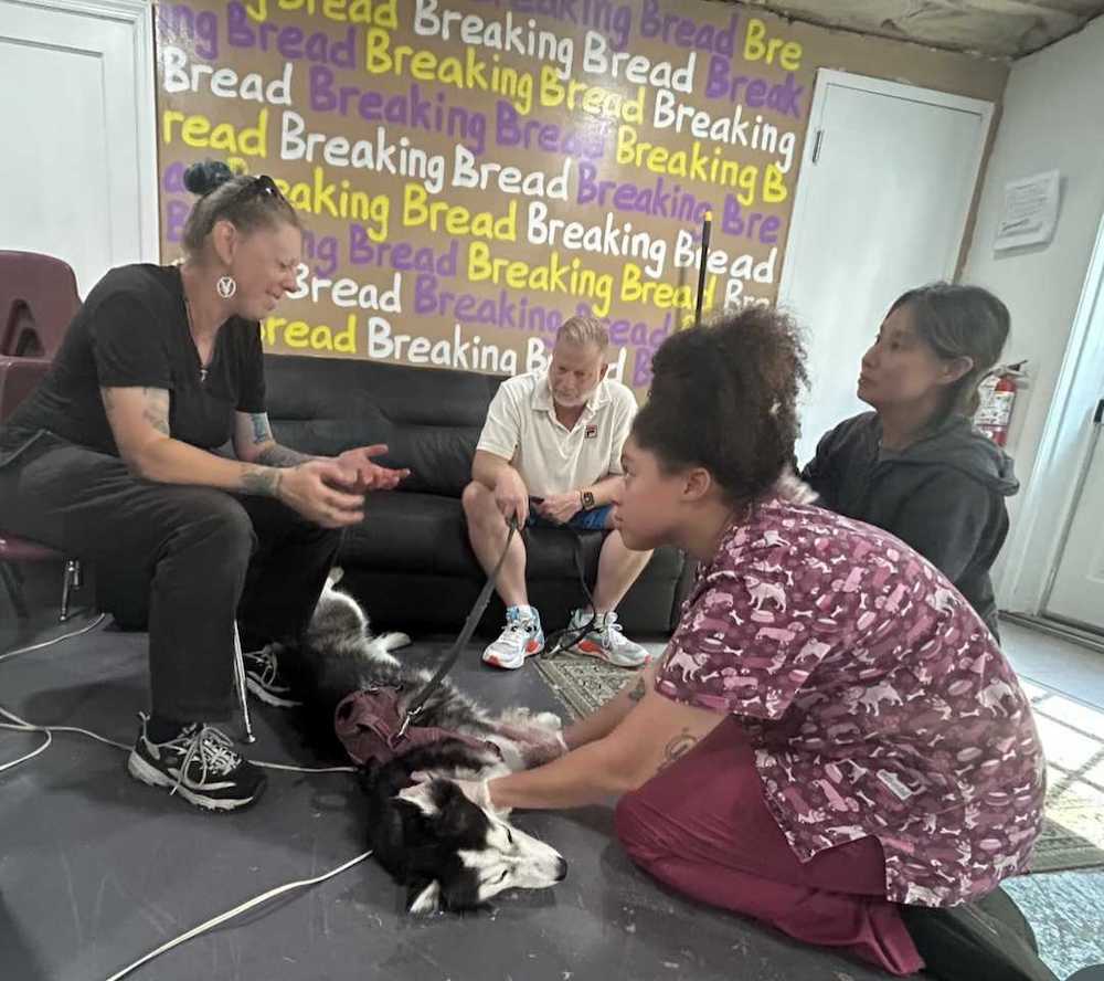 Partners at Morris Animal Refuge providing expert care to resident pets