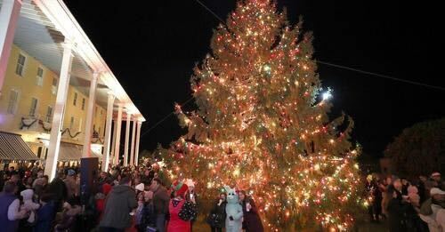 A Christmas tree in Cape May