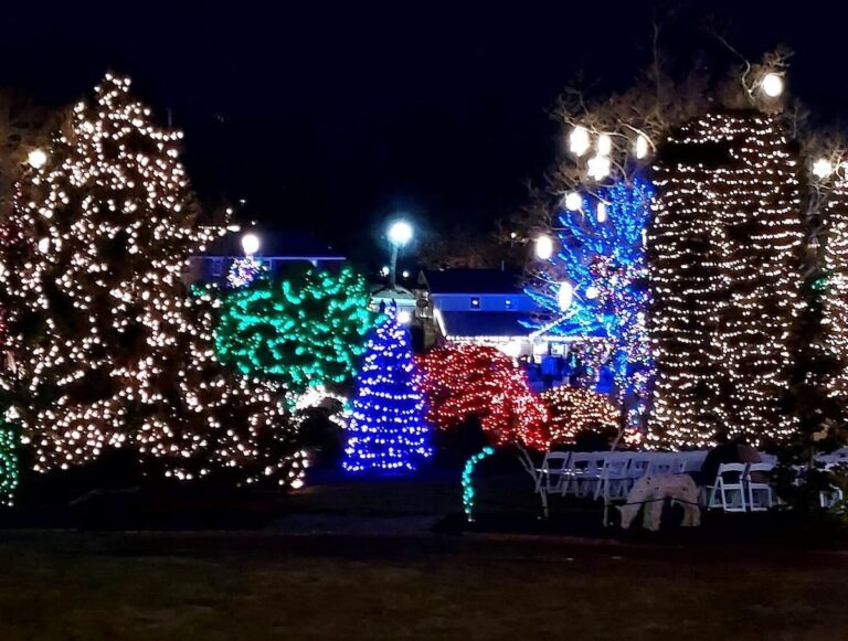 Lights on trees