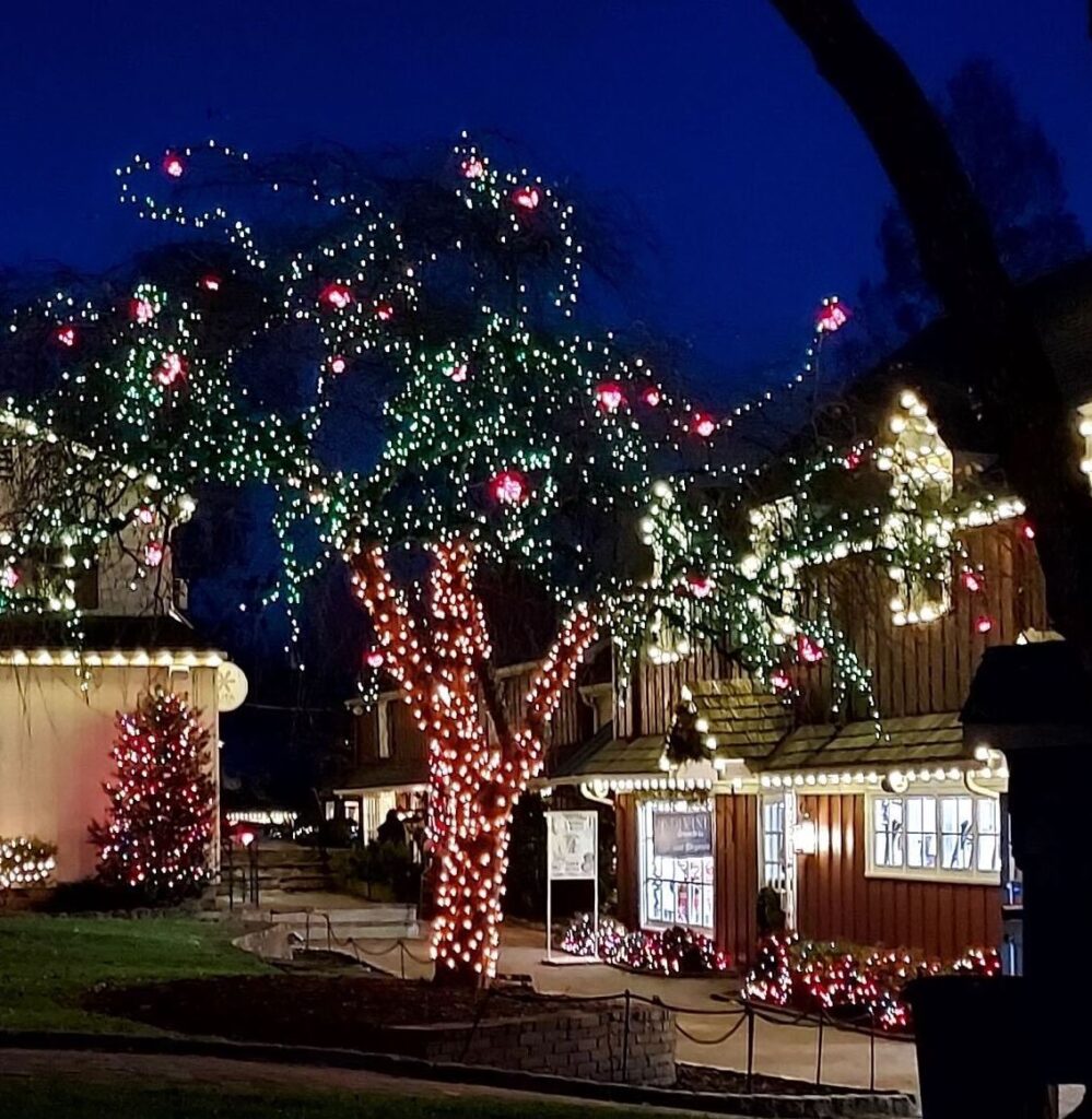 Buildings and trees are decorated with lights.