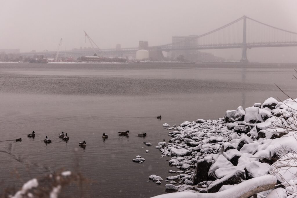 01 19 2024 k paynter philly snow dogs penn treaty-9 The Ben Franklin Bridge in Philadelphia during a snow storm on Jan. 19, 2024.