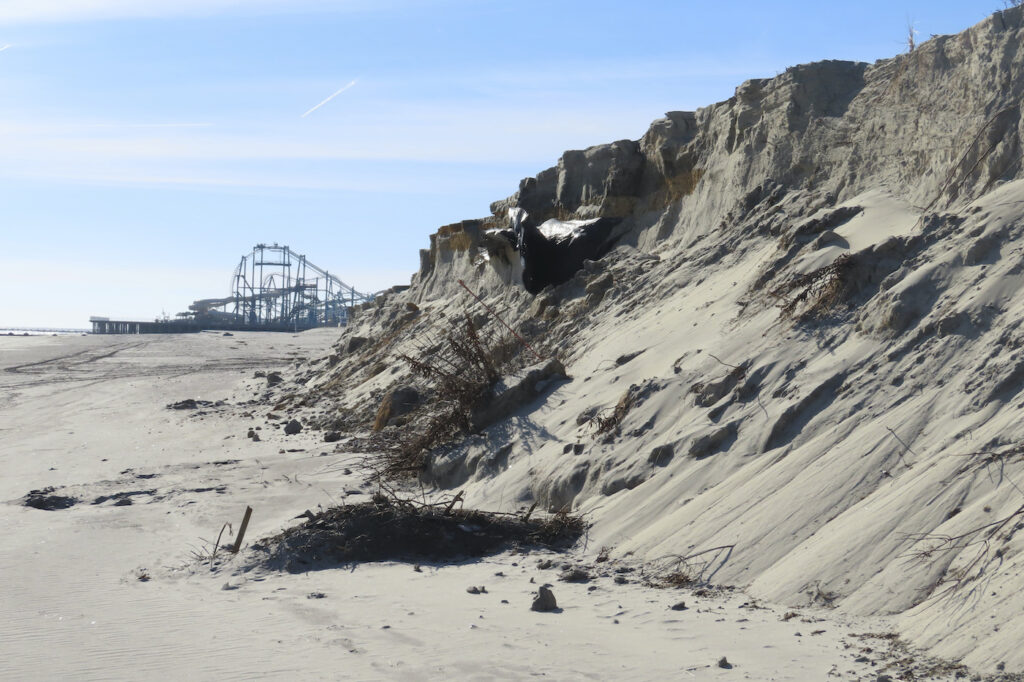 Defiant Shore Town A severely eroded section of sand dune lines the beach in North Wildwood N.J