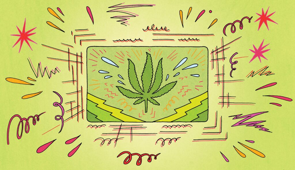 marijuana-leaf-illustration-spotlight-pa A stylized illustration of a marijuana leaf