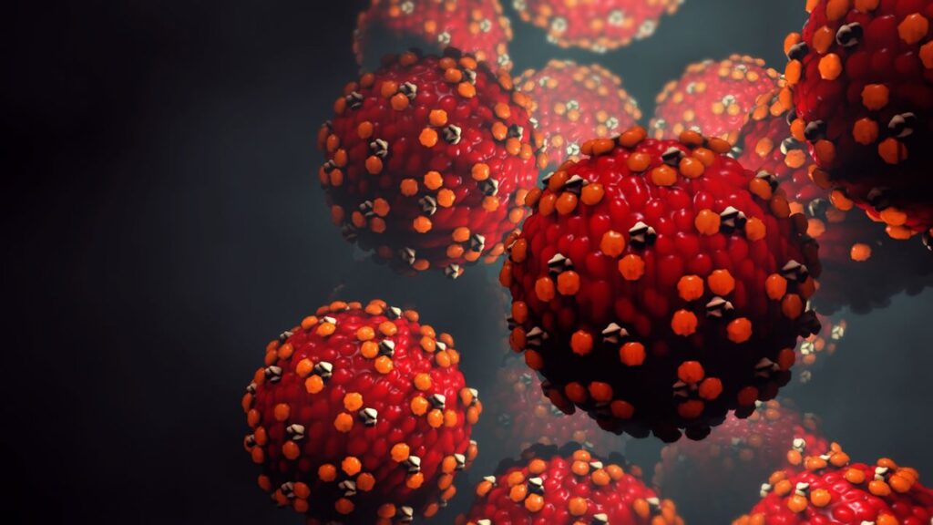 measles A close-up of measles germs
