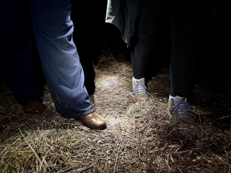 A close-up of volunteer boots on a trail