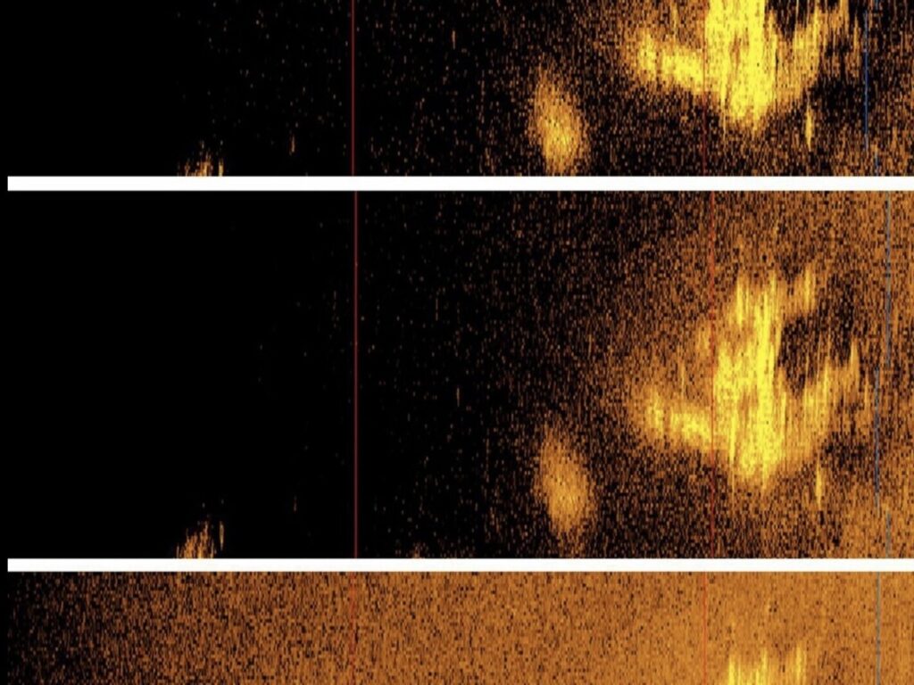 screenshot-2024-01-29-at-10.53.54-am-98fdb469e90bc7b1588c765e6c1398eb7db40448-s1600-c85 The object spotted in the Pacific Ocean by deep water equipment aligns with the size and shape of Earhart's aircraft.