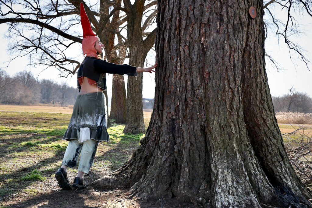 2024 02 09-e lee-alex tartarsky-philadelphia fdr park-gnome performance trees Alex Tatarsky, in gnome attire, stands next to a tree