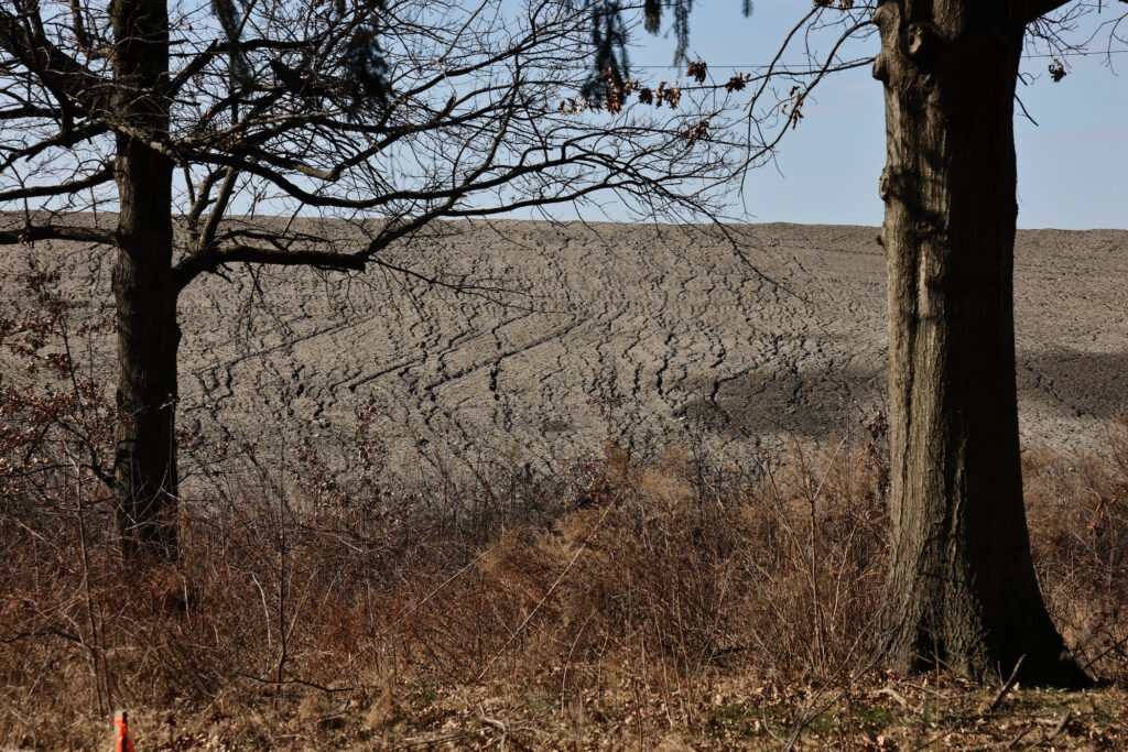 A mound of dirt covers what was once a meadow at FDR Park