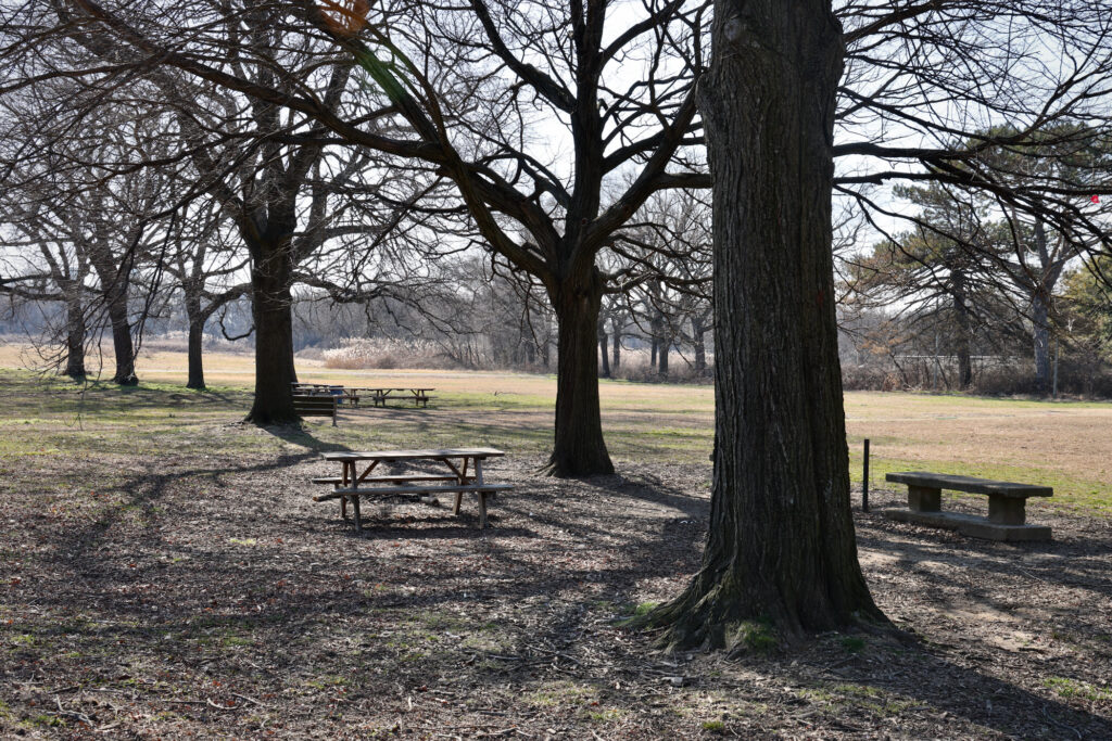 2024 02 09-e lee-philadelphia fdr park-gnome performance trees Mature trees shade a picnic area which is slated to become a soccer field
