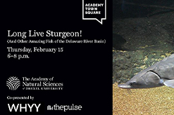 Long Live Sturgeon! event thumbnail