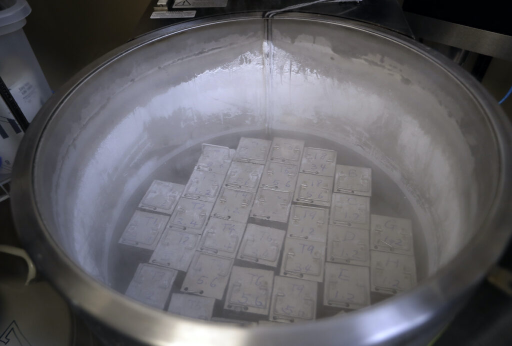 Alabama Frozen Embryos File photo: In this Tuesday, Oct. 2, 2018 photo, containers holding frozen embryos and sperm are stored in liquid nitrogen at a fertility clinic in Fort Myers, Fla.