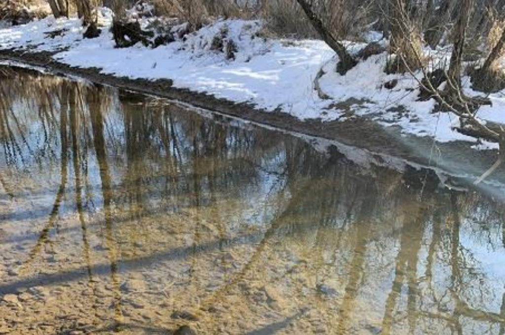A tributary near a snow-covered shoreline