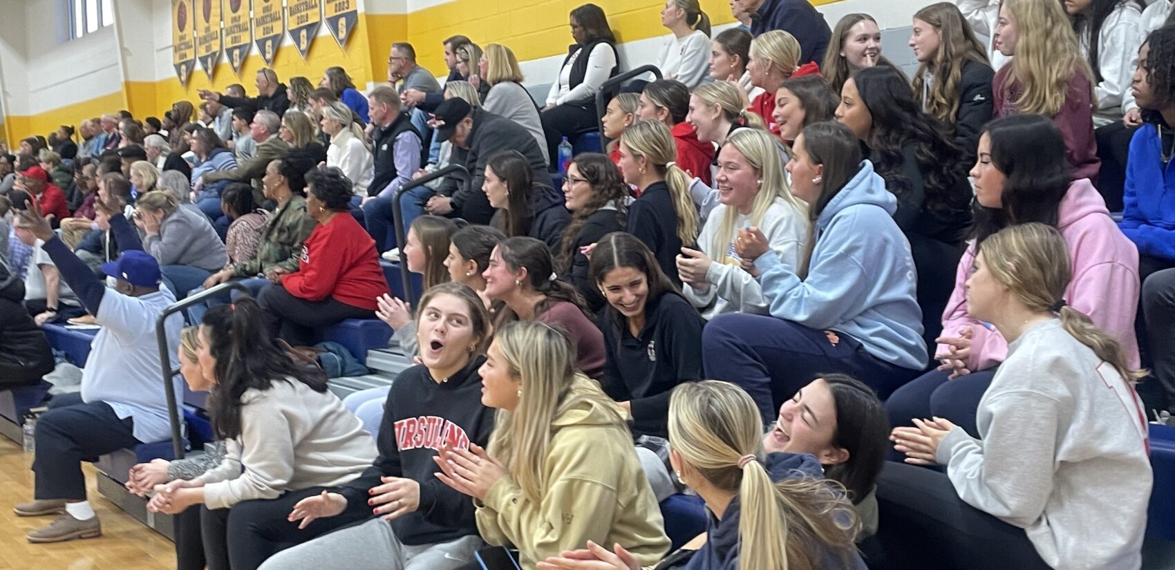 Fans cheering in the stands during the game
