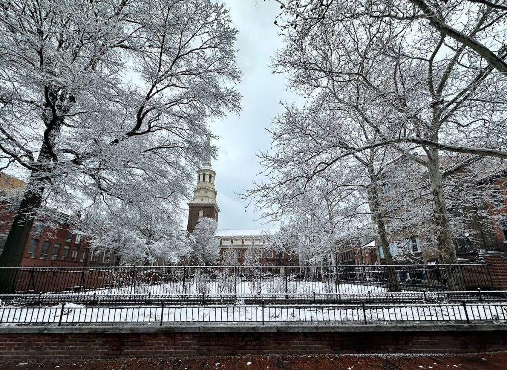 Trees covered with snow in Old City Philadelphia