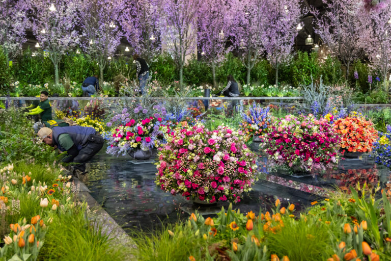 A floral installation at the Flower Show