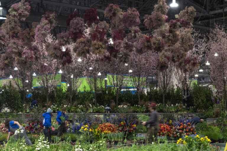 A floral installation at the Flower Show