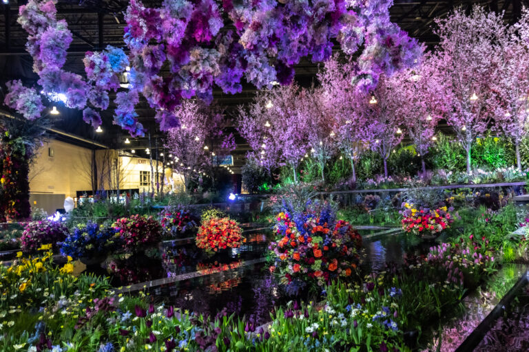 2024 Flower Show. (Kimberly Paynter)