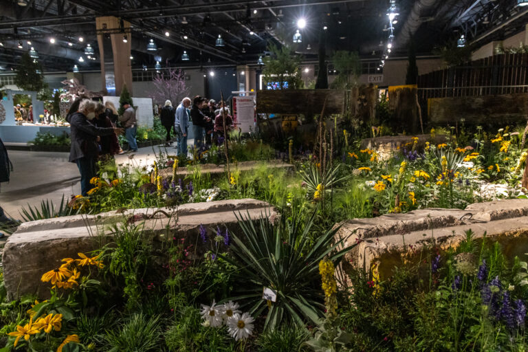 Floral designer Kelly D. Norris imagined what a vacant lot could be at the 2024 Philadelphia Flower Show. (Kimberly Paynter/WHYY)